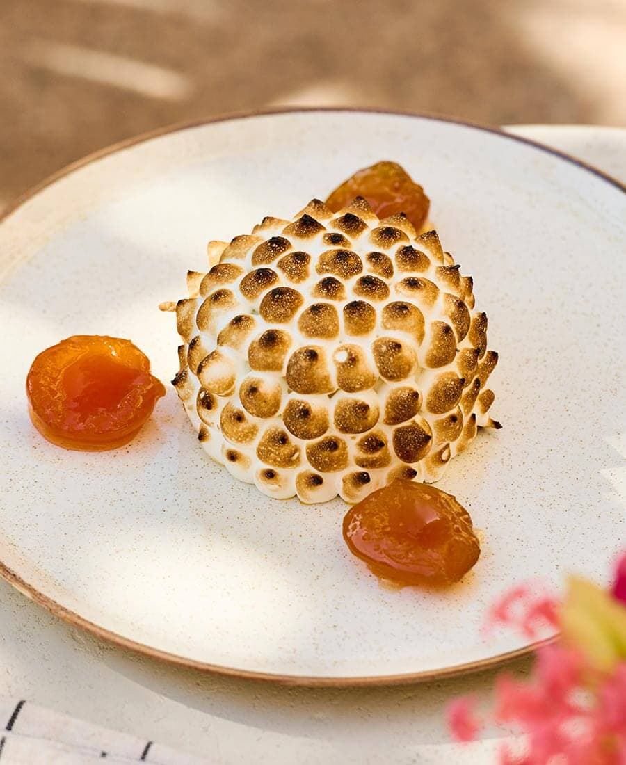 Apricot  6