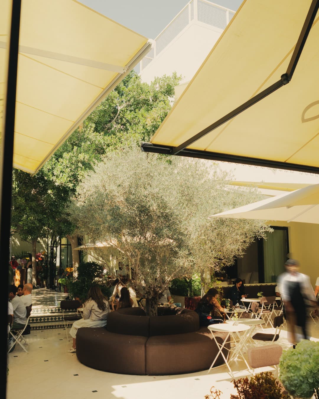 Cafe Villa 515 4