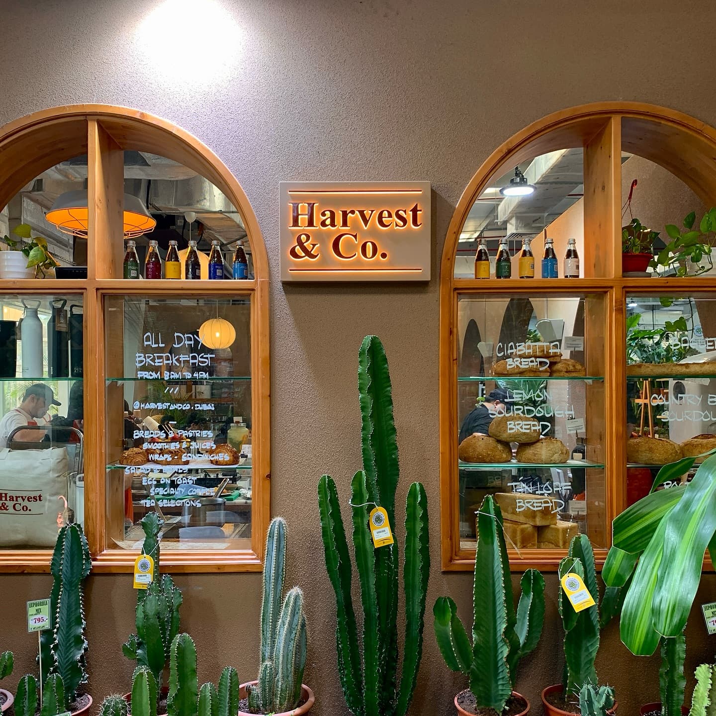 Harvest & Co.  1