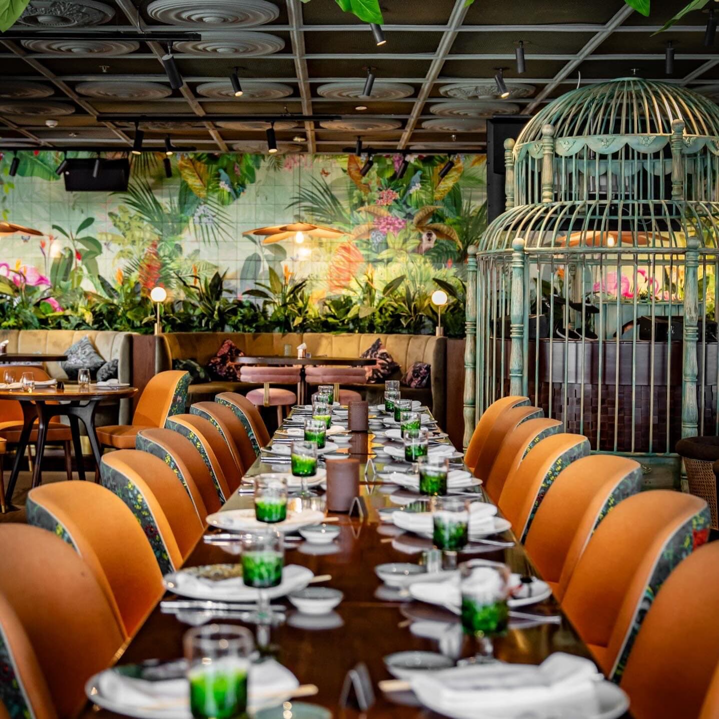 MAMA ZONIA 7
