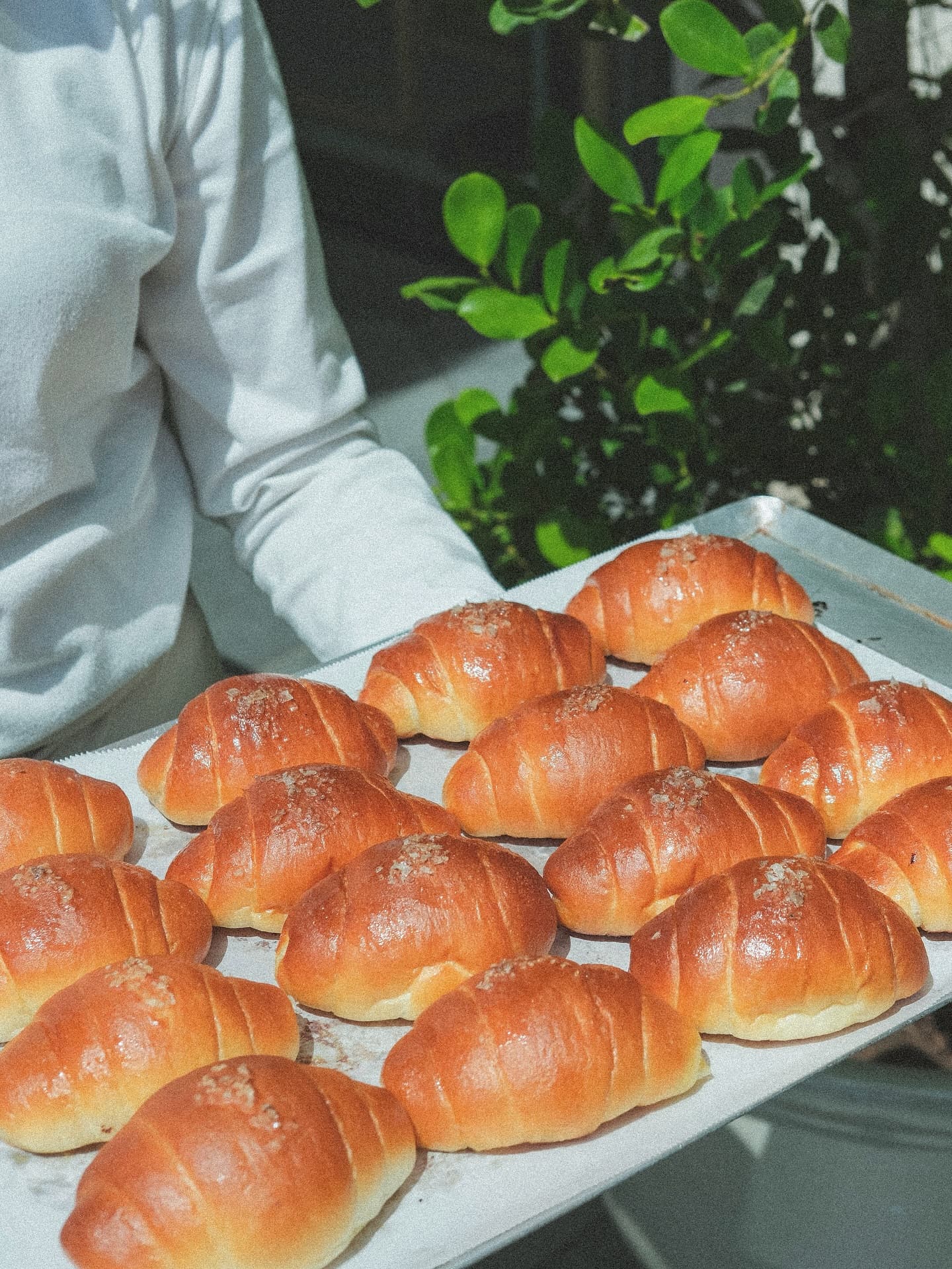Milk Bakery 4