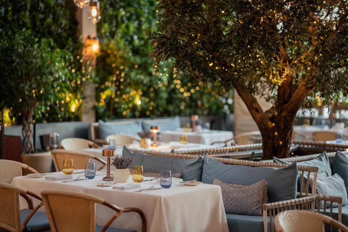 MINA Brasserie 3
