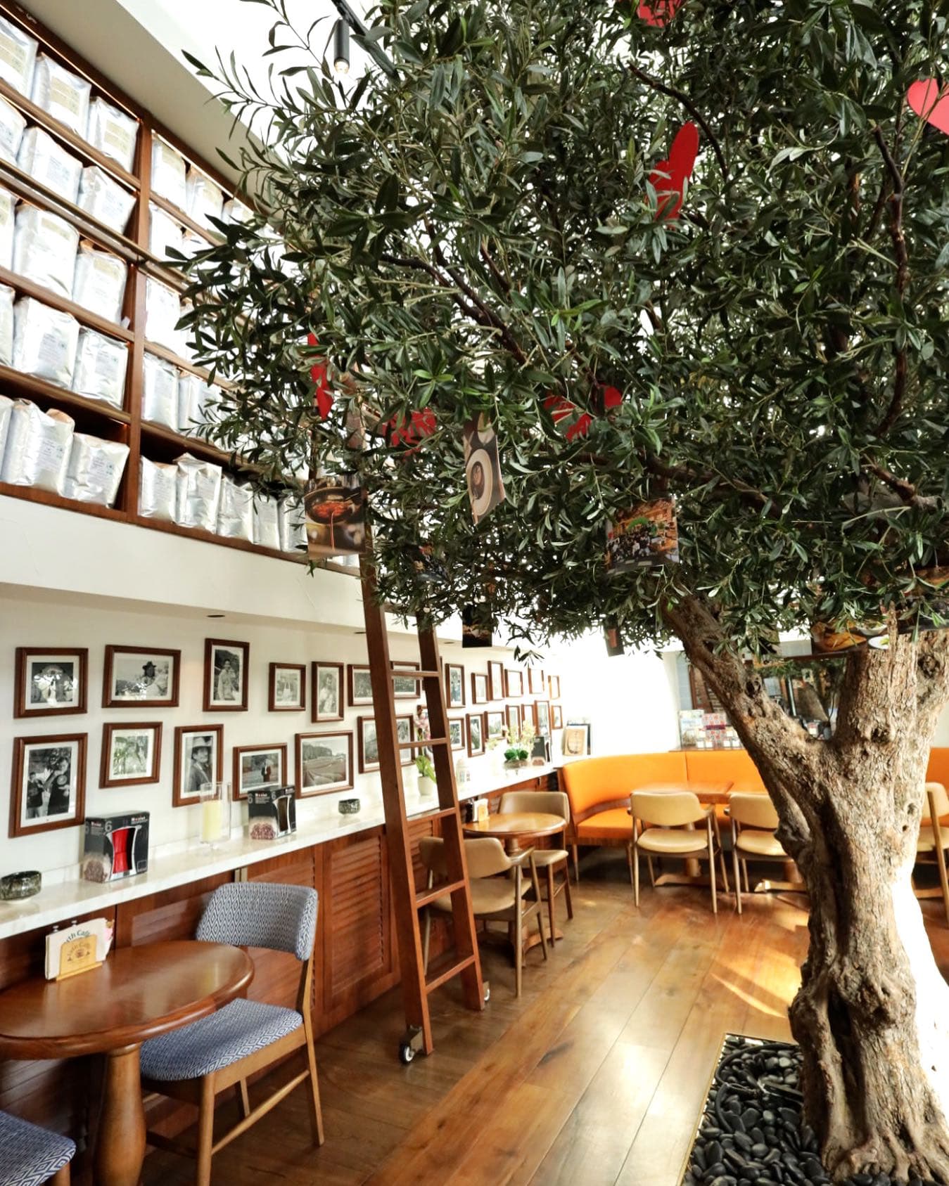 Urth Caffé 1