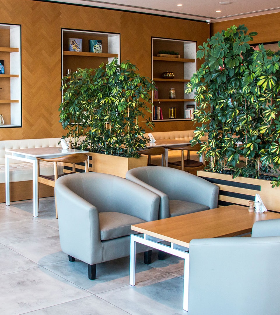 Nourish - Wasl