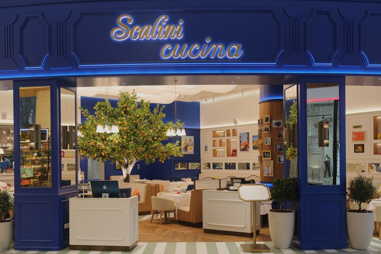 Scalini Cucina
