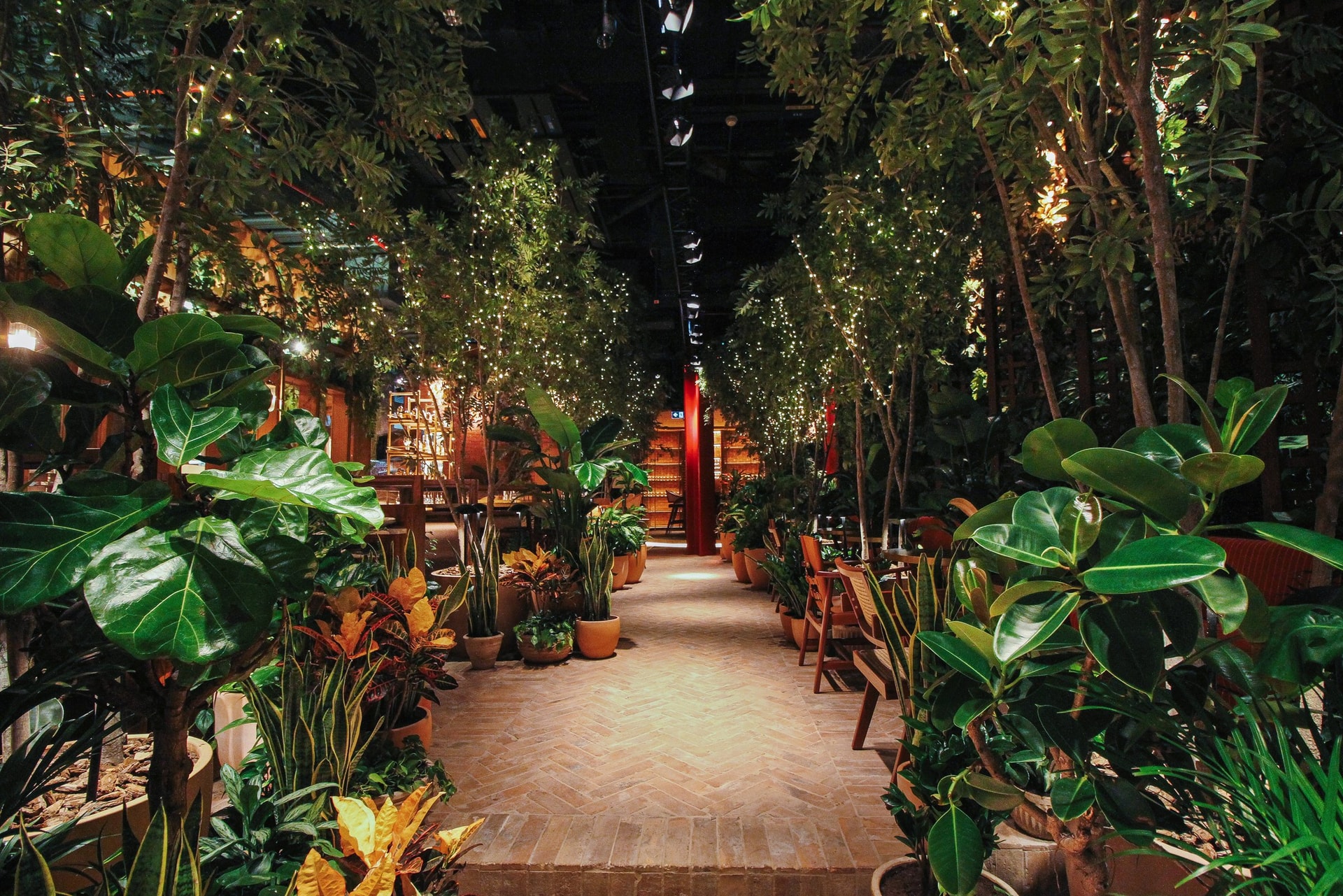 The Guild's jungle walkway